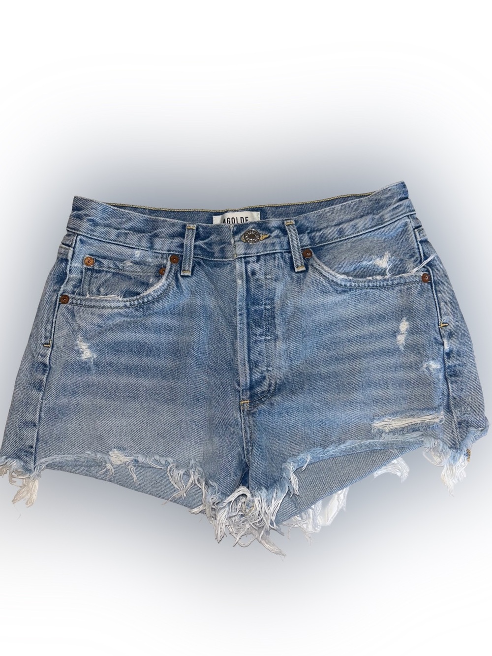 Agolde Parker Vintage Cut off Short in Swapmeet
